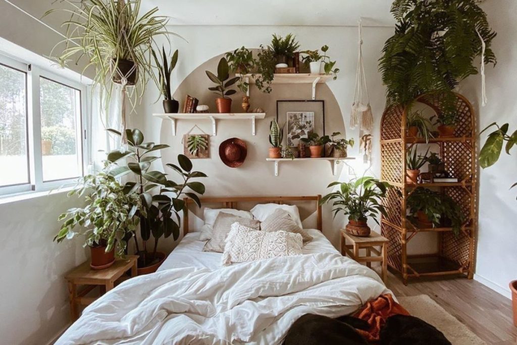 desvantagens de ter plantas no quarto para dormir bem