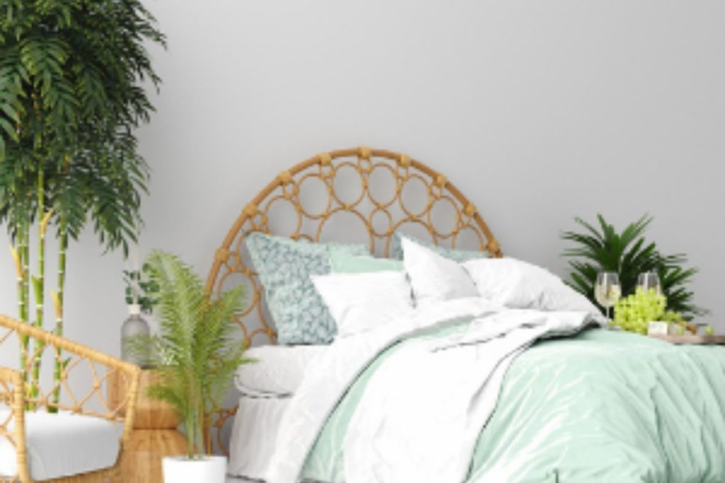 5 dicas de plantas para ter no quarto e dormir bem