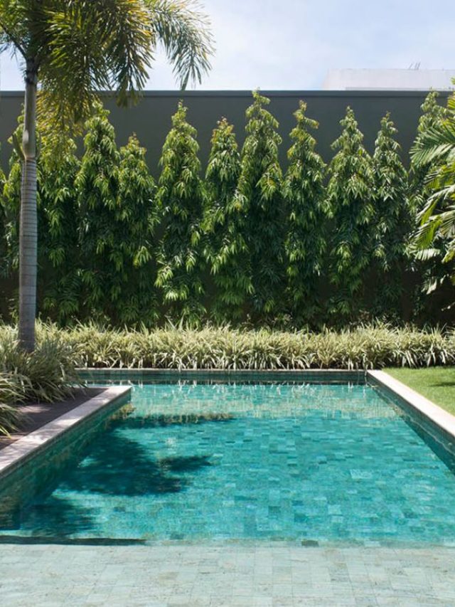 5-plantas-indicadas-para-a-area-da-piscina