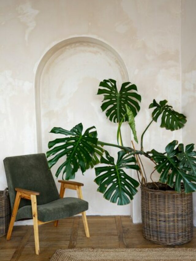 decoracao-do-quarto-com-planta-de-monstera-em-vaso_23-2149428030